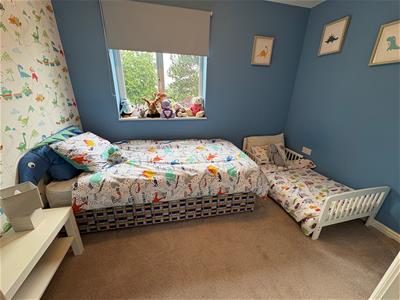 Picture 16